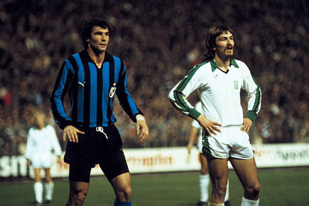 的赛场表现 的赛场表现