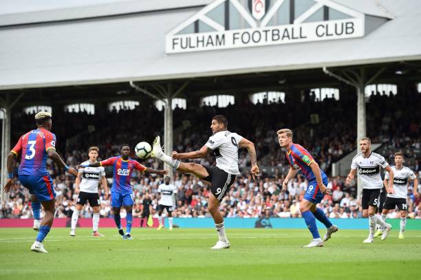 尽快确定大 尽快确定大