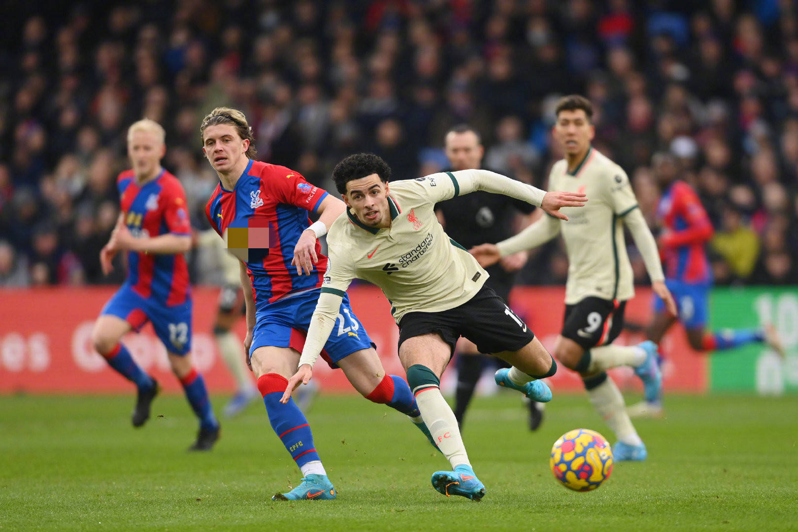 尤其是在 尤其是在